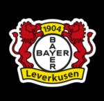 https://img.e-ellipsis.cn/img/football/team/d3205f3ddca07dc01c822ea0de24a0e7.png